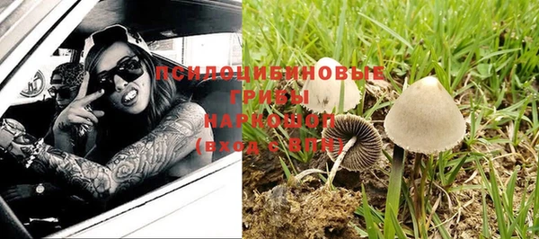 спиды Навашино