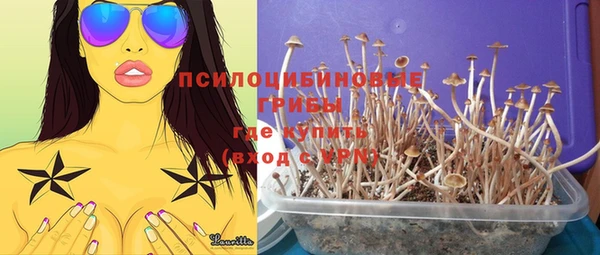 спиды Навашино