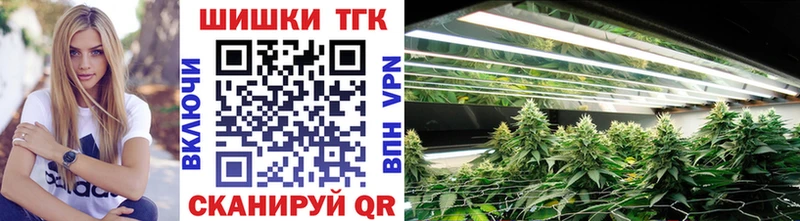 где продают наркотики  Приволжск  Бошки Шишки MAZAR 